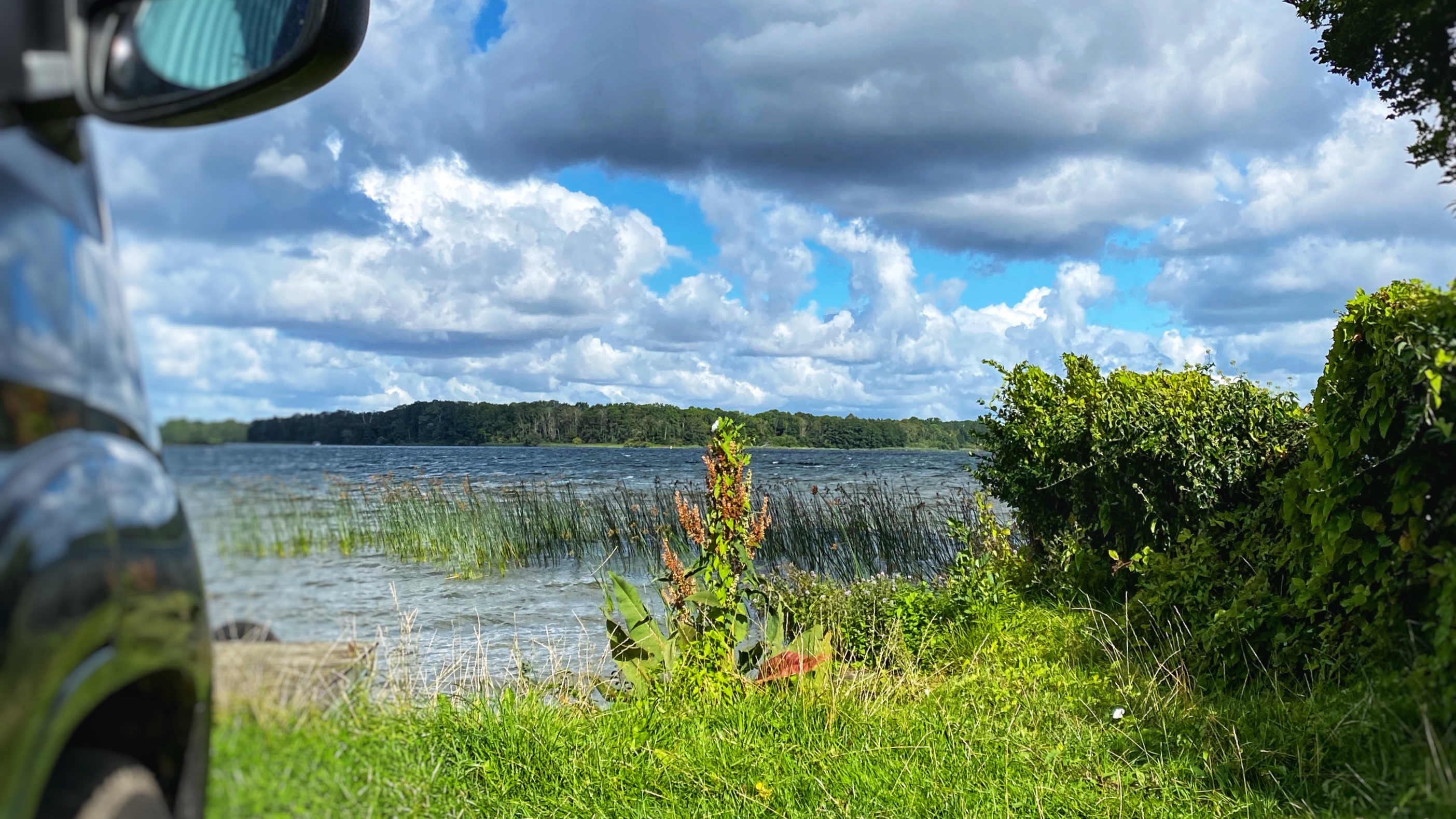 Schwerin VI – zu Besuch (feat. Theorie fertig)