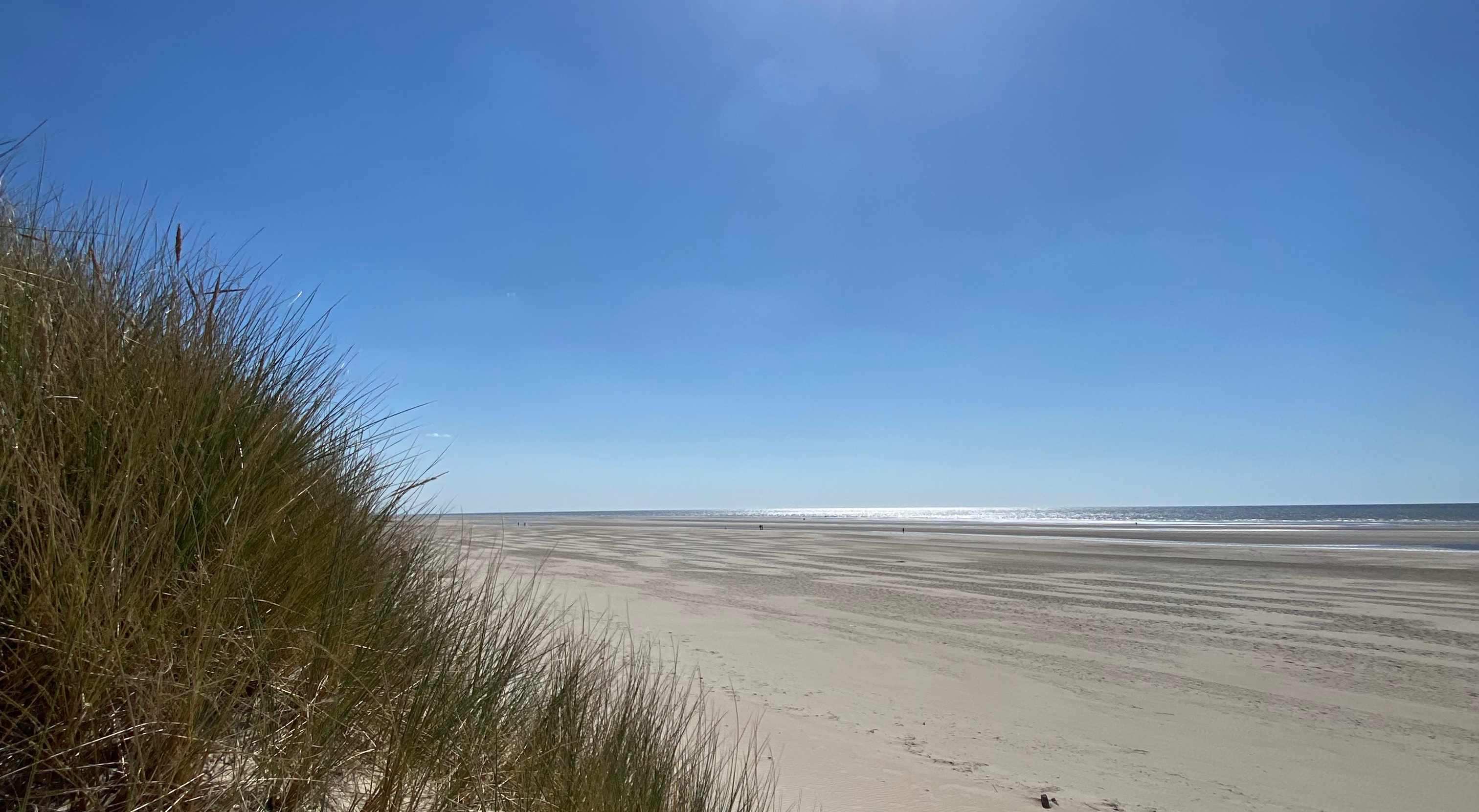 Stella Plage 2 – „Est-ce Orus, qui parle?“