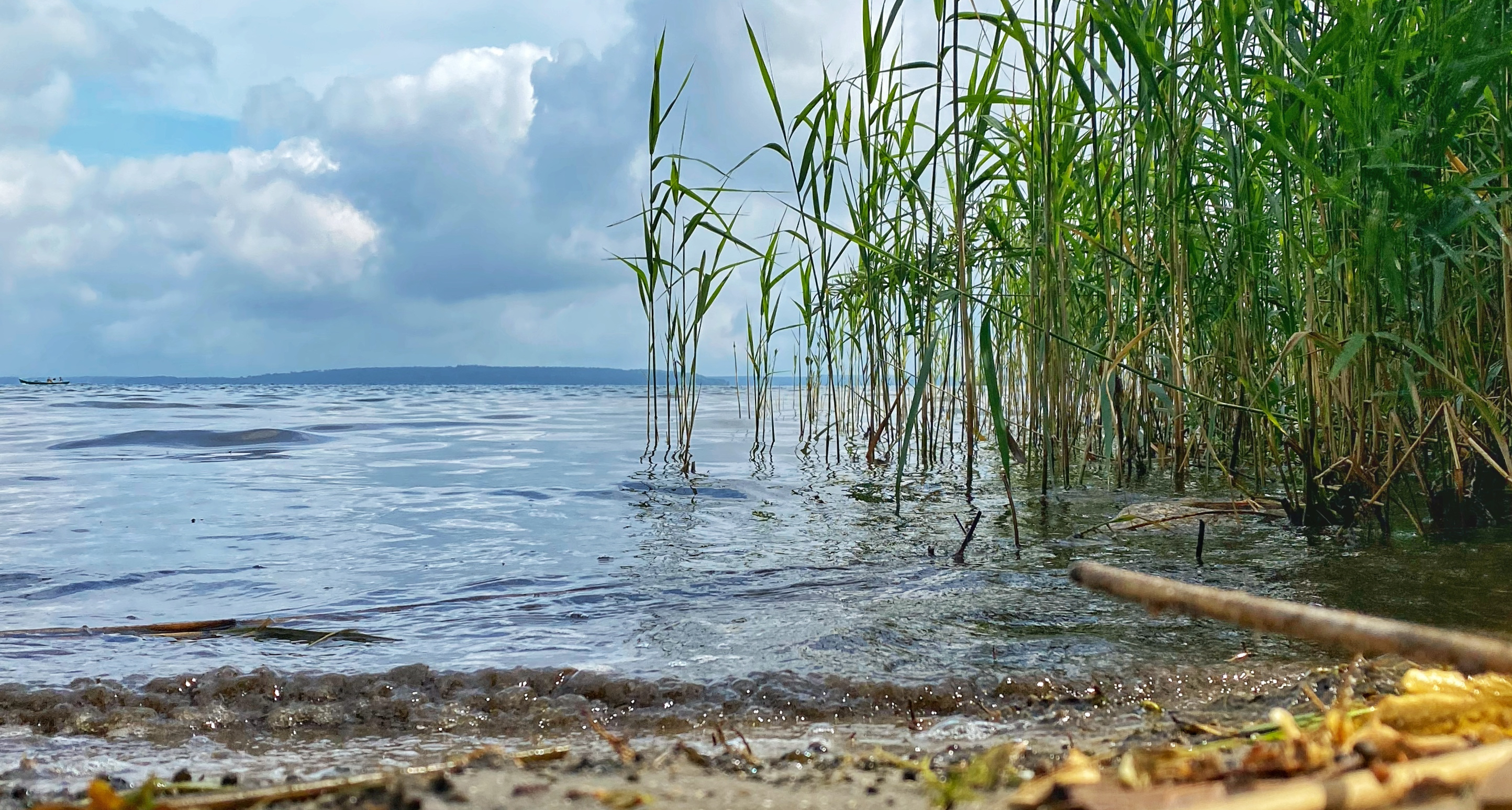 …und überall Gewässer 4a – „Egbert, tu was!“