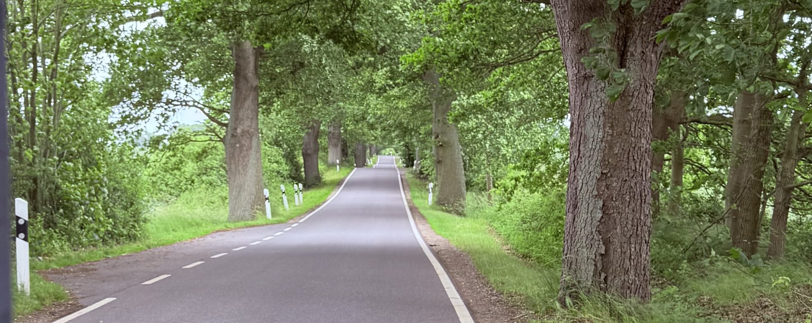 #Mopedtour2026 – noch Dümmer